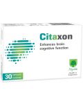 Citaxon, 30 капсули, Magnalabs - 1t