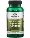 Full Spectrum Japanese Ashitaba, 500 mg, 60 капсули, Swanson - 1t