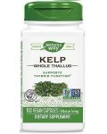Kelp Whole Thallus, 600 mg, 100 капсули, Nature’s Way - 1t