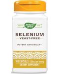 Selenium, 200 mcg, 100 капсули, Nature's Way - 1t