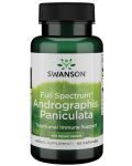 Full Spectrum Andrographis Paniculata, 60 капсули, Swanson - 1t