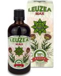 Leuzea Max, 100 ml, Cvetita Herbal - 1t