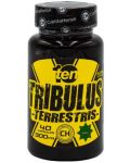 10/ten Tribulus Terrestris, 300 mg, 40 капсули, Cvetita Herbal - 1t