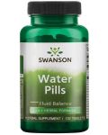 Water Pills, 160 mg, 120 таблетки, Swanson - 1t