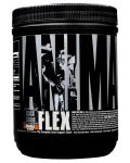 Animal Flex Powder, портокал, 381 g, Universal - 1t