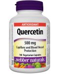 Quercetin, 500 mg, 140 капсули, Webber Naturals - 1t