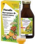 Витамин B комплекс, 250 ml, Floradix - 1t