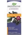 Sambucus sugar free Сироп, 120 ml, Nature's Way - 1t