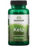Kelp, 225 mcg, 250 таблетки, Swanson - 1t