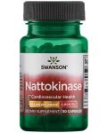 Nattokinase, 100 mg, 30 капсули, Swanson - 1t