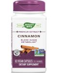 Cinnamon, 500 mg, 60 капсули, Nature's Way - 1t