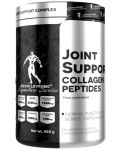 Silver Line Joint Support, 450 g, Kevin Levrone - 1t