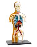 Детски комплект Kosmos - Анатомия на човешкото тяло - 1t