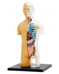 Детски комплект Kosmos - Анатомия на човешкото тяло - 3t