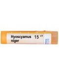Hyoscyamus niger 15CH, Boiron - 1t