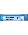 Hypericum perforatum 9CH, Boiron - 1t