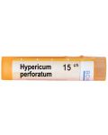 Hypericum perforatum 15CH, Boiron - 1t