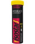 Hydrate & Perform Powertabs, cranberry, 10 ефервесцентни таблетки, Isostar - 2t