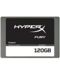 Kingston HyperX Fury - 120GB - 1t
