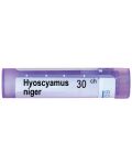 Hyoscyamus niger 30CH, Boiron - 1t