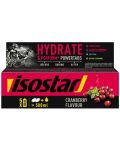 Hydrate & Perform Powertabs, cranberry, 10 ефервесцентни таблетки, Isostar - 1t