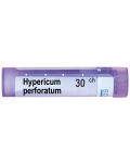 Hypericum perforatum 30CH, Boiron - 1t