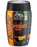 Hydrate & Perform, orange, 400 g, Isostar - 1t