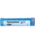 Hyoscyamus niger 9CH, Boiron - 1t