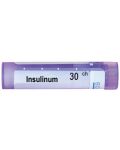 Insulinum 30CH, Boiron - 1t