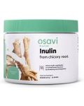 Inulin from Chicory Root, 270 g, Osavi - 1t