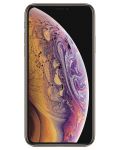 iPhone XS Max 64 GB Gold - 5t