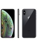 iPhone XS 64 GB Space grey - 3t