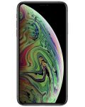 iPhone XS Max 256 GB Space grey - 5t