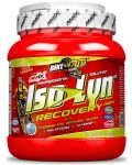 Iso-Lyn Recovery, лимон, 800 g, Amix - 1t