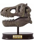 Изследователски комплект Buki Museum - Skull, T-Rex - 4t