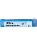 Kalium bichromicum 9CH, Boiron - 1t
