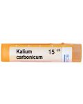 Kalium carbonicum 15CH, Boiron - 1t