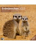 Календар Ackermann - Сурикати, 2023 - 1t