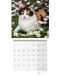 Календар Ackermann - Cats, 2024 - 4t