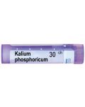 Kalium phosphoricum 30CH, Boiron - 1t
