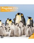 Календар Ackermann - Penguins, 2024 - 1t