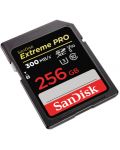 Карта памет SanDisk - Extreme PRO, 256GB, SDXC, Class10 - 2t