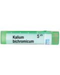 Kalium bichromicum 5CH, Boiron - 1t