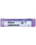 Kalium carbonicum 30CH, Boiron - 1t