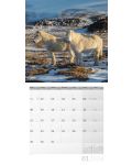 Календар Ackermann - Horses, 2024 - 2t