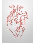 Картичка Мазно.бг - Анатомично сърце - 1t