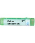 Kalium arsenicosum 5CH, Boiron - 1t