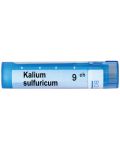 Kalium sulfuricum 9CH, Boiron - 1t