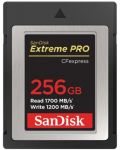 Карта памет SanDisk - Extreme PRO, 256GB, CFexpress, Class10 - 1t