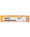 Kalium phosphoricum 15CH, Boiron - 1t